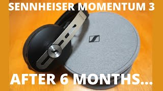 Sennheiser Momentum 3 Review After 6 Months [upl. by Ardra]