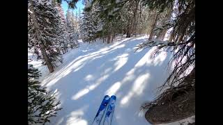 Breckenridge Peak 6 Tree Skiing [upl. by Niwrud]