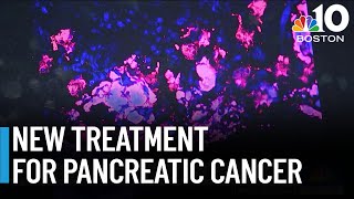 New pancreatic cancer treatment developed at UMass [upl. by Guenevere]