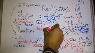 Physiology Respiratory Structure and Function new system Dr Mohamed Fayez [upl. by Ayikal983]