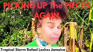 REBUILDING My SMALL THRIVING BACKYARD Garden AFTER TROPICAL STORM RAPHAEL DESTRUCTION [upl. by Ruyam]