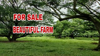 822 BEAUTIFUL FARM WITH INCOME [upl. by Ailad]