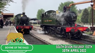 South Devon Railway 150th Anniversary Gala  30th April 2022 [upl. by Jeconiah]