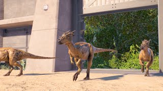 Jurassic World Evolution 2  CAPTURING COELOPHYSIS IN THE WILD [upl. by Loginov329]