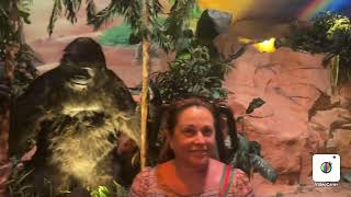 Rainforest River Adventure Ride Galveston Texas 2023 Rainforest Cafe [upl. by Liemaj803]