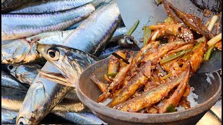 BEST CATCH AND COOK ANCHOVIES You Will Ever See [upl. by Anyzratak]