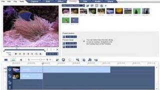 Ulead VideoStudio  Overlays Basics Tutorials [upl. by Leuneb]