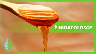 8 incredibili BENEFICI del MIELE 🍯✅ Cosa succede se bevi MIELE ogni mattina [upl. by Thaddaus166]