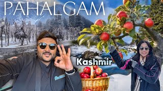 Pahalgam Full day Tour  Amarnath Yatra Base Camp  Apple Garden amp Bajrangi Bhaijaan Shoot Location [upl. by Seraphine]