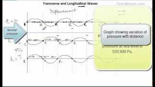 Transverse and Longitudinal waves [upl. by Nylirem]