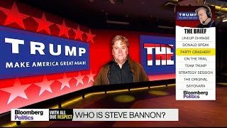 Who Is Stephen Bannon [upl. by Kimmel]