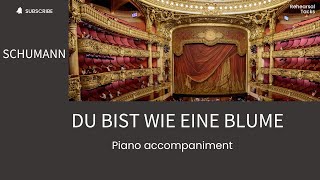 Schumann Du bist wie eine Blume Piano accompaniment [upl. by Aineval]