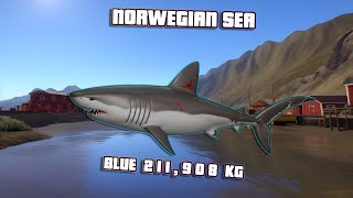 Russian Fishing 4 RF4  Norwegian Sea  Porbeagle blue trophy fight with 113 kg leader almost breaks [upl. by Dnama409]