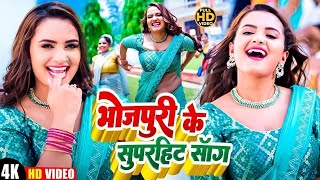 Video  Pawan Singh  राजाजी के दिलवा  Shivani Singh  Rajaji Ke Dilwa  New Bhojpuri Song 2024 [upl. by Anotal]