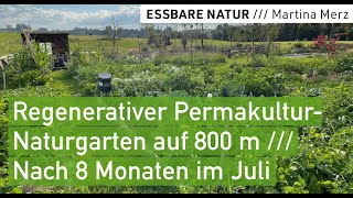 Reiche SelbstversorgungsErnte im 1 Sommer Regenerativer Permakulturgarten am Alpenrand auf 800m [upl. by Joelynn]