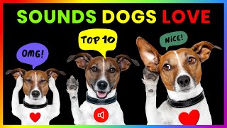 Top 10 Sounds Dogs Love GUARANTEED [upl. by Ienttirb862]