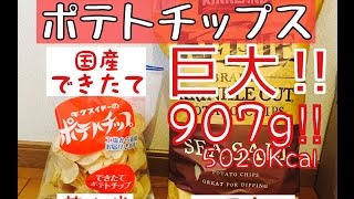 ポテトチップス【菊水堂】マツコの知らない世界でも紹介された国産出来たて！amp【コストコ】巨大ポテチとおいしい食べ方？ [upl. by Dowdell]