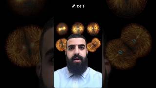 GCSE Science in a minute  Mitosis gcse science school biology [upl. by Eleinad150]