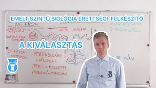 Kiválasztás  A vese működése  Biológia érettségi [upl. by Ocker]