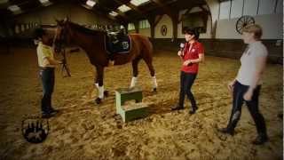 Loesdau Lessons Basics mit Kati Die Reitbahnregeln [upl. by Issi]