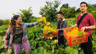 Harvest Time Bulaklak ng Kalabasa at Atis sa Mount Arayat Area Tara Manalbus Tamu  BINOY TV [upl. by Leissam]