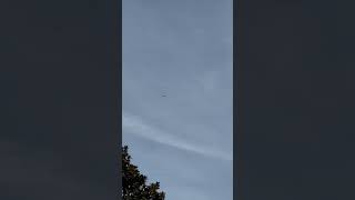 Aero Vodochody L39C Albatros Flyover my house [upl. by Eatnoed858]