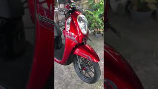 Candy red  scoopy fyp repaint scoopy trending [upl. by Tingey109]