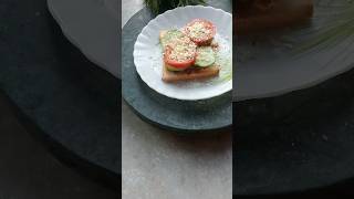 Chicken sandwich shorts youtubeshorts [upl. by Pasquale452]