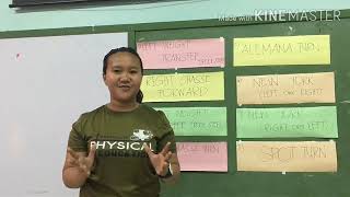 Teaching Demo 8 basic steps of chacha [upl. by Ysnap]