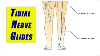 Flossing Exercises for TIBIAL NERVE ENTRAPMENT and TARSAL TUNNEL SYNDROME [upl. by Chancellor553]