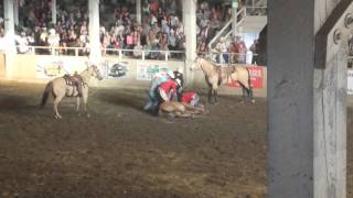 Horse breaks neck in rodeo [upl. by Small]