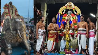 Sri Periyalwar Sathumurai  Sri Thelliyasinga Swamy Garuda Sevai amp Sri Periyalwar Yaanai Vahanam [upl. by Annalise990]