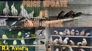 Recent Price And Stock Update Of All exotic Birds  Conure bird price  Parrot setup aviary [upl. by Ruzich]