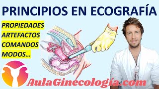 PRINCIPIOS EN ECOGRAFÍA PROPIEDADES ARTEFACTOS COMANDOS MODOS  Ginecología y Obstetricia [upl. by Medardas838]