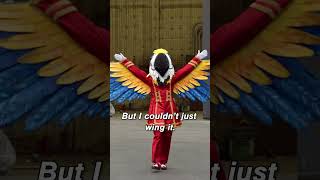 macaw’s first costume fitting themaskedsinger [upl. by Sergo]