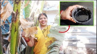 कैसी भी खांसी हो जड़ से दूर कर देगा ये आसान घरेलू उपाय। Indian Home Remedy for Cough [upl. by Ttcos]