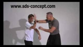 Hometraining  Skills  SDS  Kubotan  Yawara  Palm Stick  Pocket Stick [upl. by Sammons466]