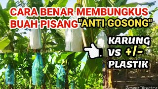 Cara Benar Membungkus Buah Pisang Anti Gosong [upl. by Letrice]