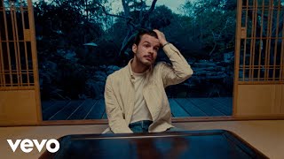 Rex Orange County  Finally Video [upl. by Laud176]