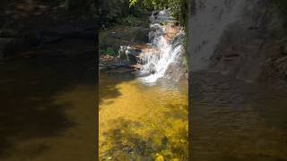 Cachoeira do Anhangava Quatro Barras 📌 natureza [upl. by Kerstin]