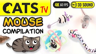 GAME FOR CATS  The Best MOUSE Compilation 🐭🙀 4K 60FPS Cats TV [upl. by Drolyag]