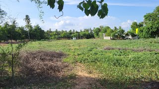 acre for sale in trichy  Srirangam melur  2 acre 20 cent  per sqft ₹ 1000 [upl. by Hannibal372]