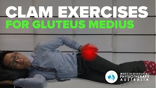 Clam Exercises to Strengthen the Gluteus Medius [upl. by Kcirde313]