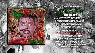 Mephitic Torso  A Gory Vortex Of Psychosis And Symbiotic Aberrations FULL ALBUM  VOMITNOISE [upl. by Ivers166]