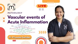 Understanding Vascular Events of Acute Inflammation  MedLive by Dr Priyanka [upl. by Yul]