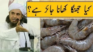 Kya Jhinga Prawns Khana Jaiz Hai Mufti Tariq Masood  Islamic Group [upl. by Brande]