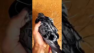 Pigeon vs baaz attack on pigeon 🐦 baaz pigeon birds kabutar shorts [upl. by Ellecrag]