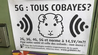 La 5G en question à Bruxelles  avancée ou risque sanitaire [upl. by Aveline]