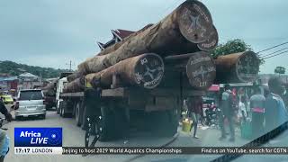 Impact des changements climatiques au Congo🇨🇬 Mme SoudanNonault dans un reportage de CGTN Africa [upl. by Johannessen]