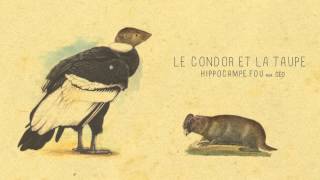 07  LE CONDOR ET LA TAUPE Hippocampe Fou feat céo [upl. by Wilhelmine]